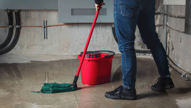 Best Professional water damage repair  in Lumberton, TX