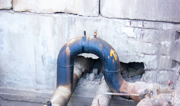 Best Flood damage cleanup  in Lumberton, TX