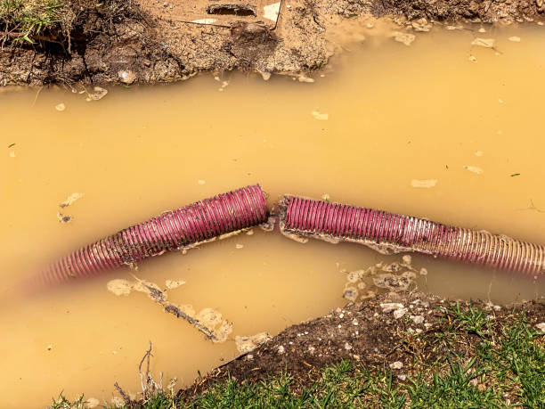 Reliable Lumberton, TX Water damage restoration Solutions