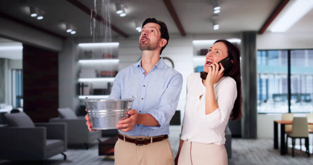 Best Sewage cleanup and water damage restoration  in Lumberton, TX